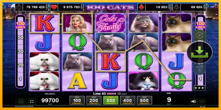 100 Cats máquina de juego por dinero, imagen 2