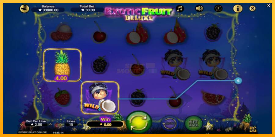 Exotic Fruit Deluxe máquina de juego por dinero, imagen 3