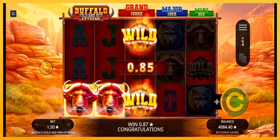 Buffalo Hold and Win Extreme máquina de juego por dinero, imagen 6