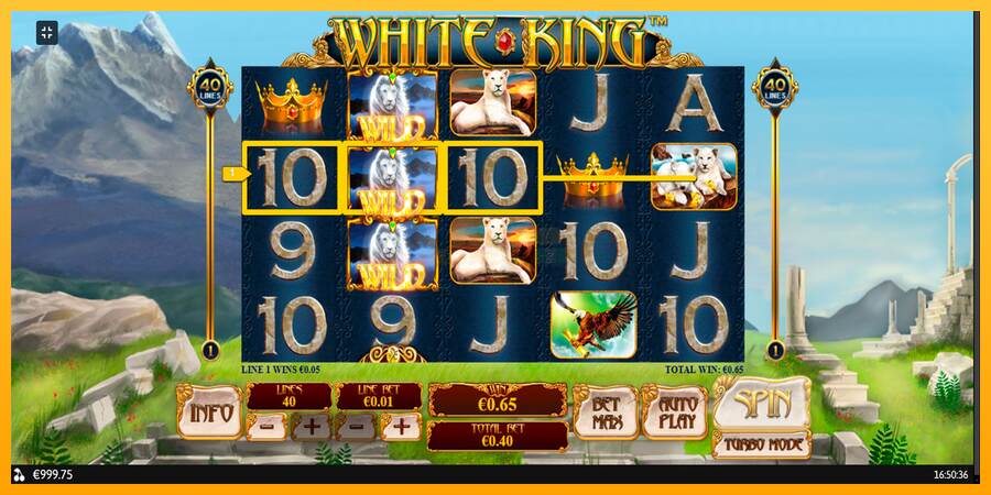 White King máquina de juego por dinero, imagen 3