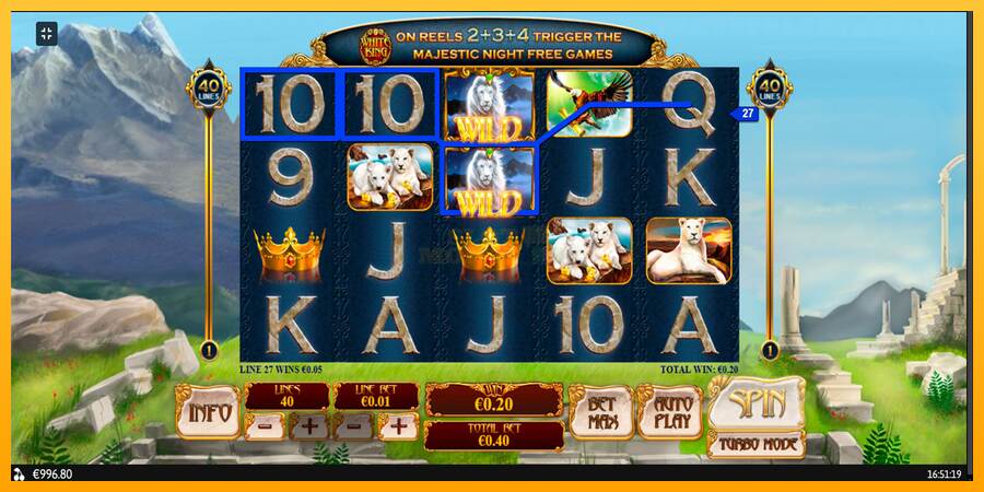 White King máquina de juego por dinero, imagen 5