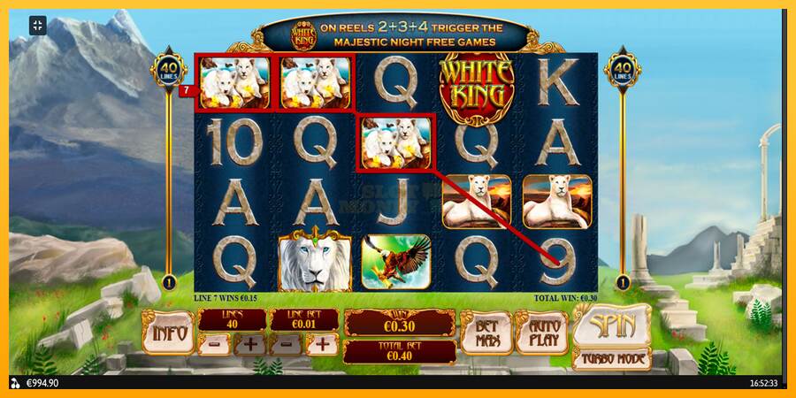 White King máquina de juego por dinero, imagen 7