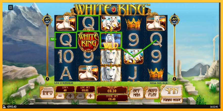 White King máquina de juego por dinero, imagen 8