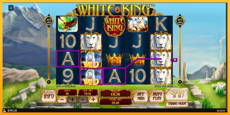 White King máquina de juego por dinero, imagen 9