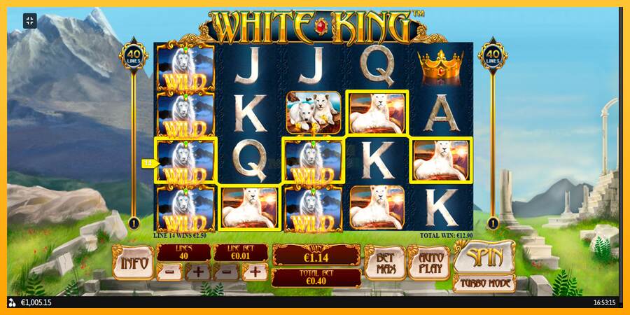 White King máquina de juego por dinero, imagen 11