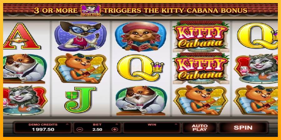 Kitty Cabana máquina de juego por dinero, imagen 3