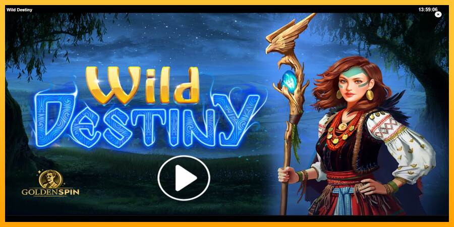 Wild Destiny máquina de juego por dinero, imagen 1