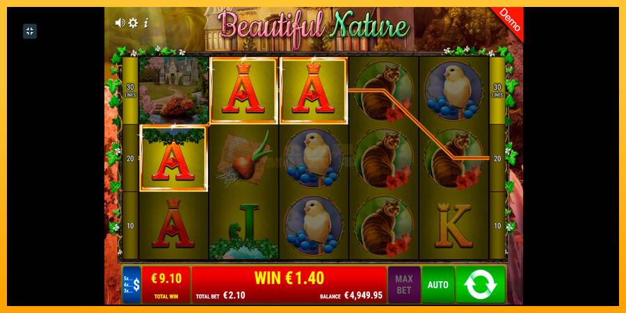 Beautiful Nature máquina de juego por dinero, imagen 10