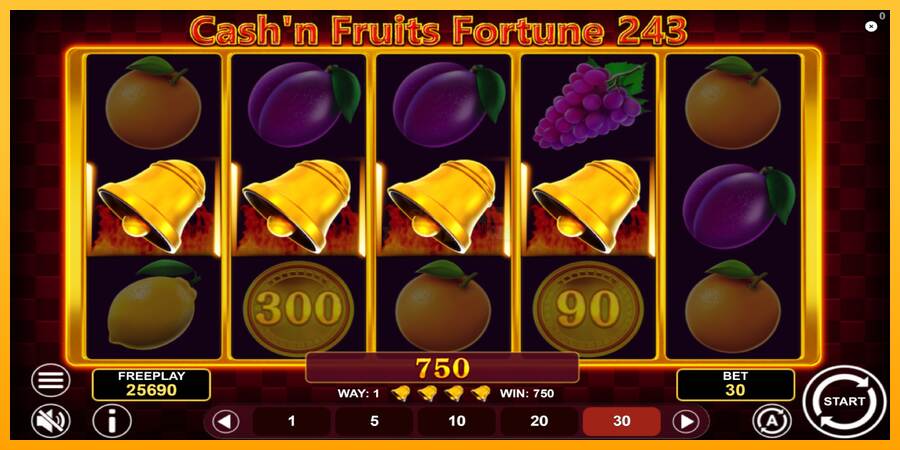 Cashn Fruits Fortune 243 máquina de juego por dinero, imagen 5