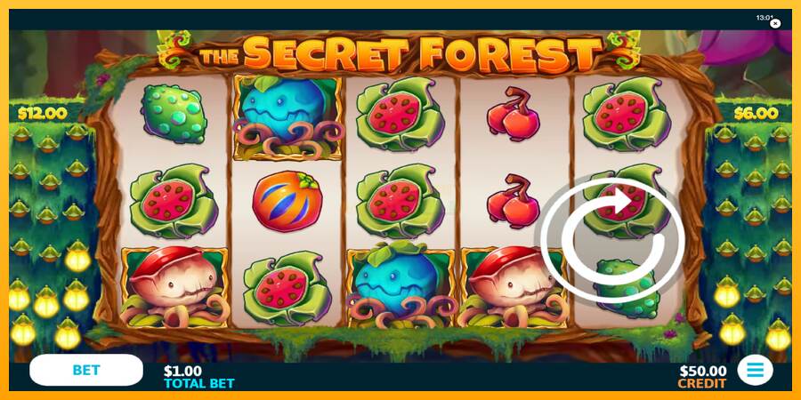 The Secret Forest máquina de juego por dinero, imagen 1