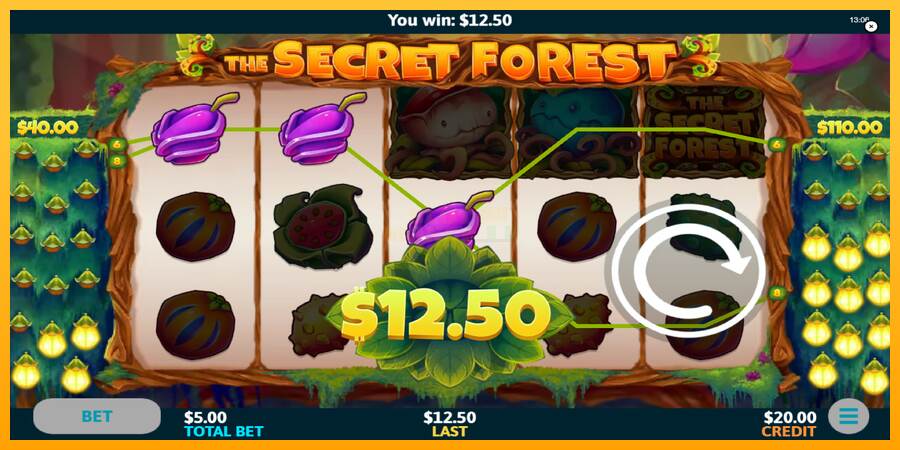 The Secret Forest máquina de juego por dinero, imagen 4