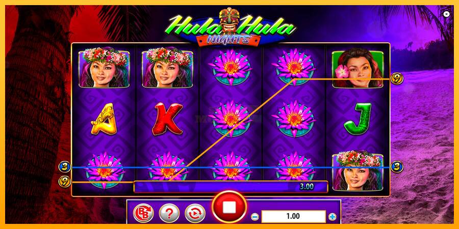 Hula Hula Nights máquina de juego por dinero, imagen 2