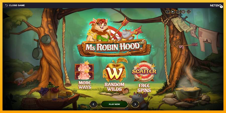 Ms Robin Hood máquina de juego por dinero, imagen 1