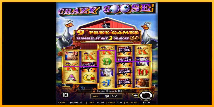 Crazy Goose máquina de juego por dinero, imagen 2