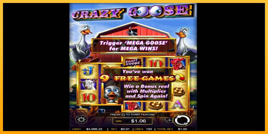 Crazy Goose máquina de juego por dinero, imagen 3