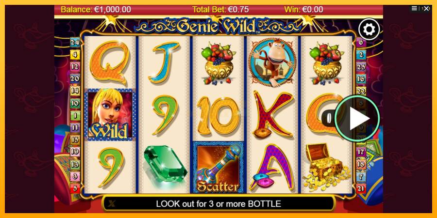 Genie Wild máquina de juego por dinero, imagen 1