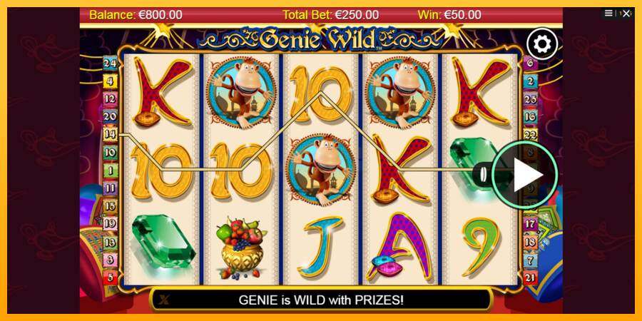 Genie Wild máquina de juego por dinero, imagen 2