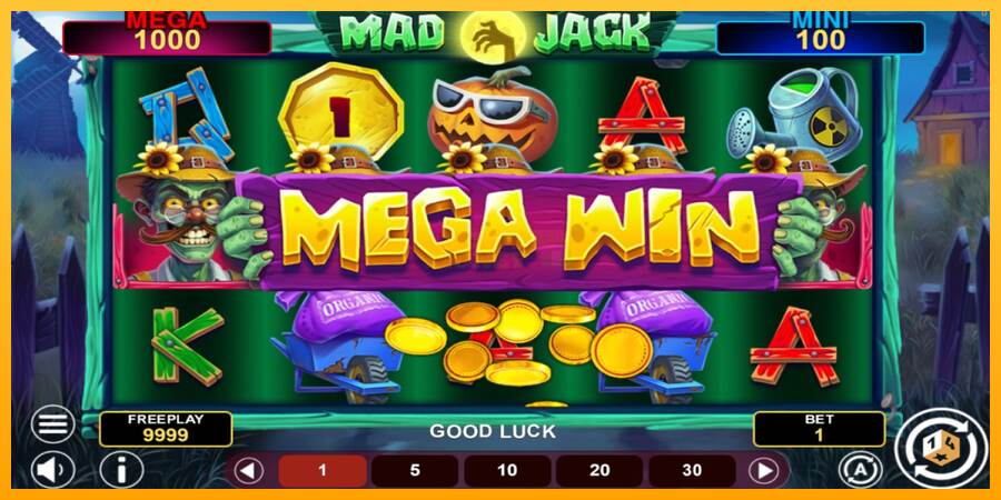 Mad Jack Hold & Win máquina de juego por dinero, imagen 2