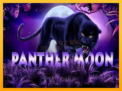 Panther Moon máquina de juego por dinero