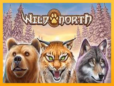 Wild North máquina de juego por dinero