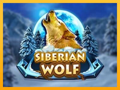 Siberian Wolf máquina de juego por dinero