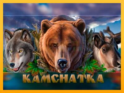 Kamchatka máquina de juego por dinero