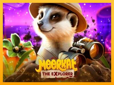 Meerkat máquina de juego por dinero