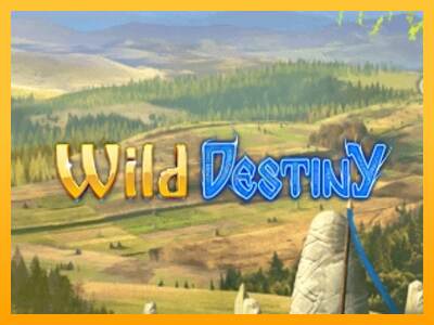 Wild Destiny máquina de juego por dinero