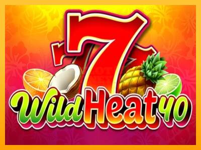 Wild Heat 40 máquina de juego por dinero